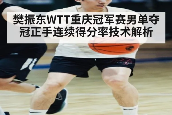 樊振东WTT重庆冠军赛男单夺冠正手连续得分率技术解析